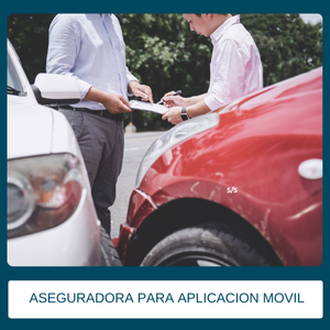 TC web ASEGURADORA (300 x 300 px)